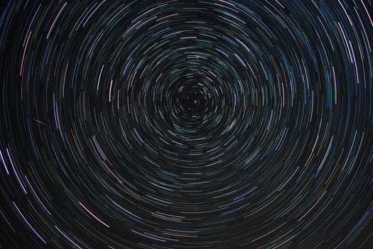 Mary's Peak Star Trail