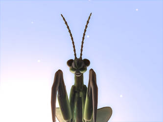 A giant praying mantis