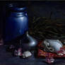 Floridian still life with fossilized shells, oil p