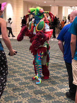 Mantis Shrimp Suit