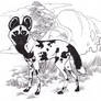 African Wild Dog