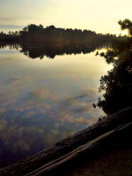 Atsion Lake morning