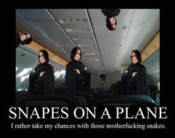 Snapes on a plane