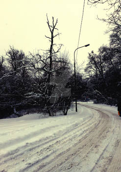 A walk in the snow