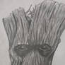 Groot