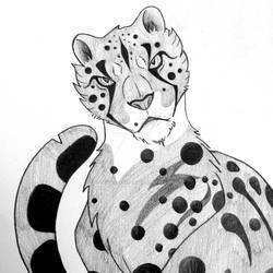 King Cheetah