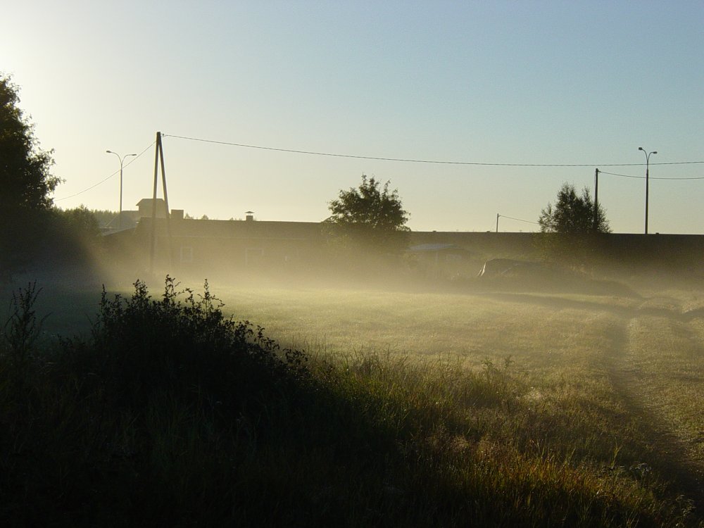 Foggy morning