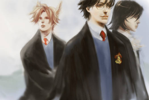 hp - james_sirius_remus