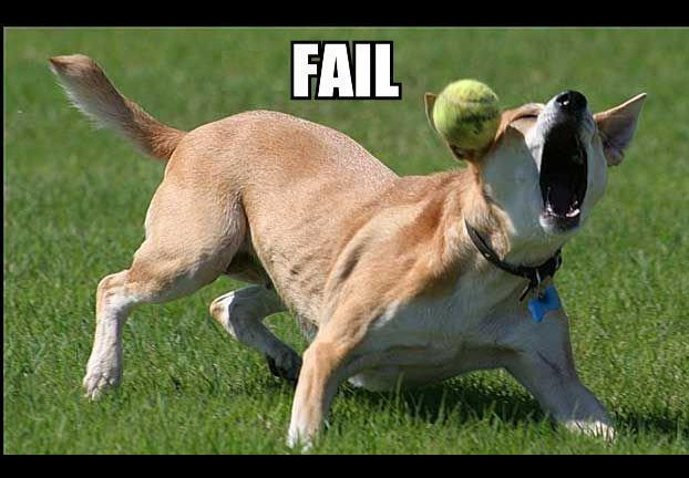 EPIC FAIL DOG