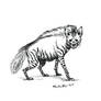 Striped Hyena