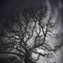 Nightmare Scenery