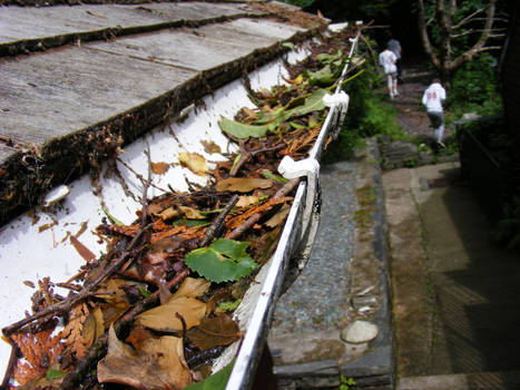 Leafs in a Gutter