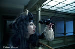 Nightime Birds 2 by Drastique-Plastique
