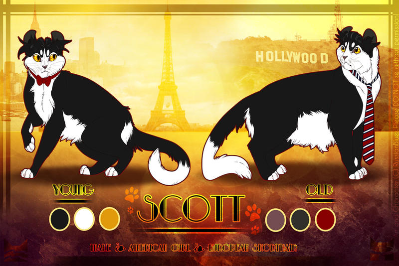 Scott (Goldeneyes) 2015 Reference Sheet