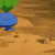 Oddish