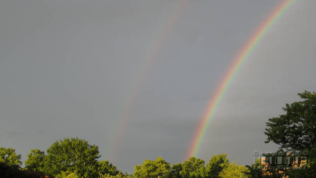 Double-Rainbow Mai-2011