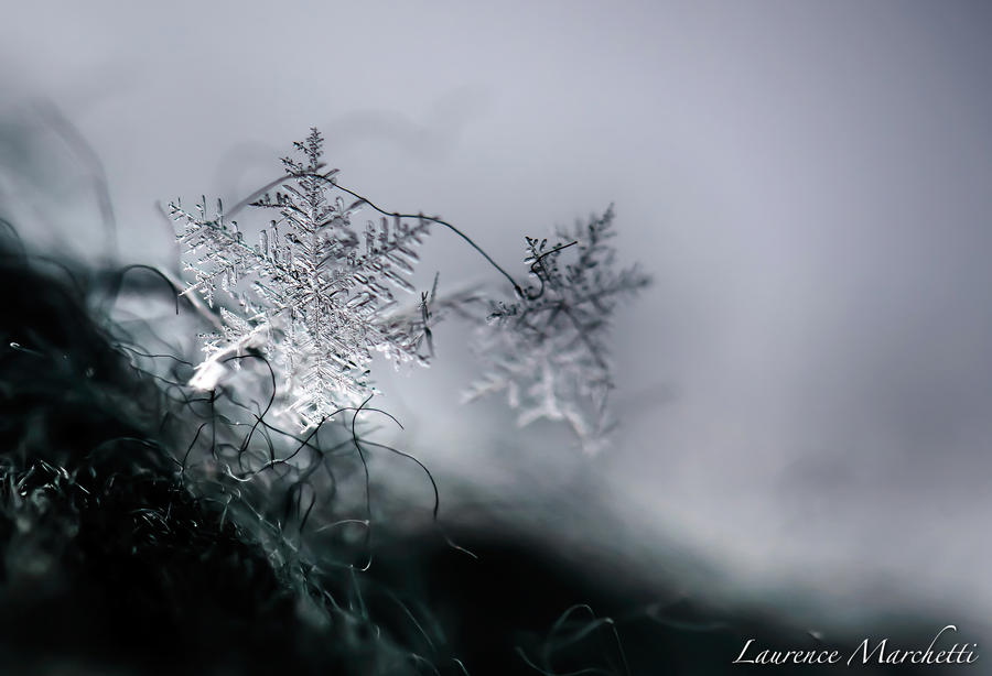 Snowflake