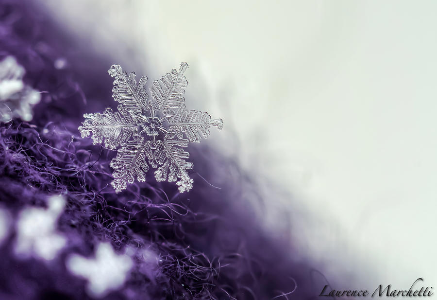 Snowflake 4 by Gallynette