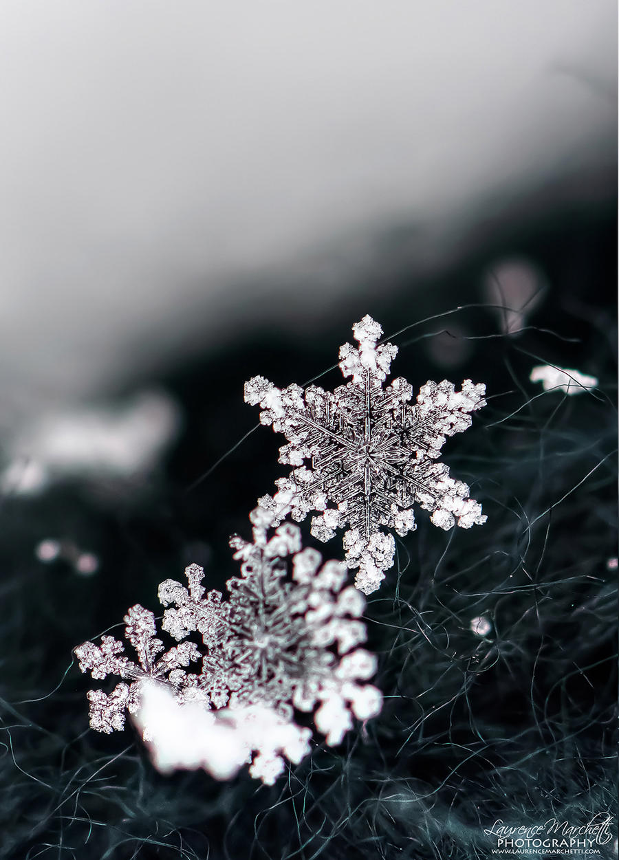 Snowflake 5 by Gallynette on DeviantArt