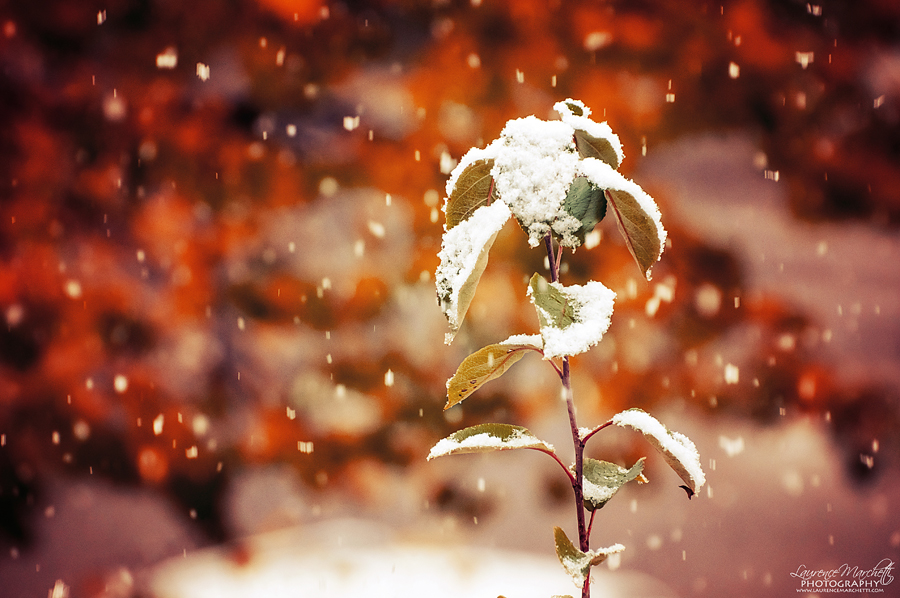 First snow