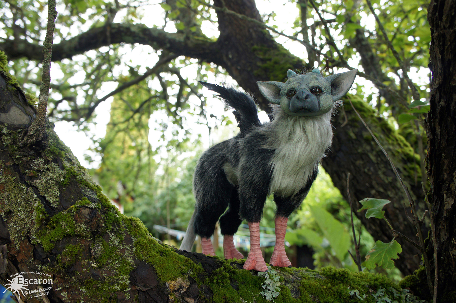 Trico - Artdoll (SOLD)