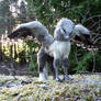 Buckbeak - Artdoll (Sold)