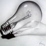 Bulb