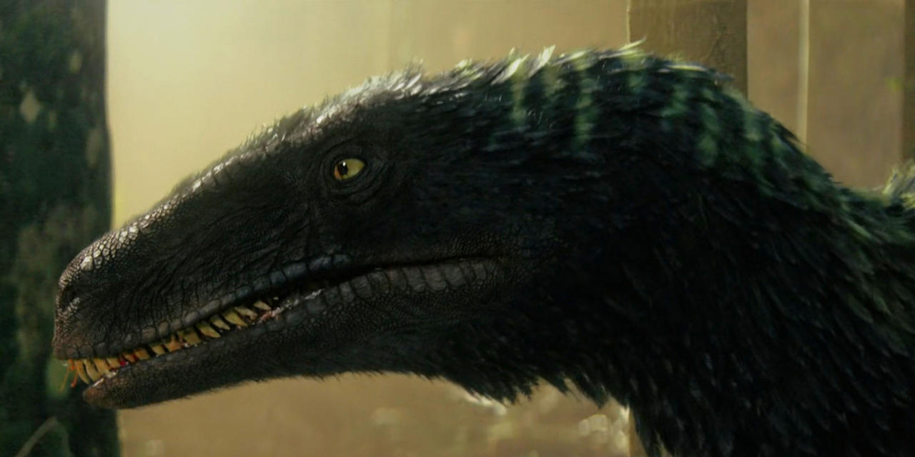 Primitive War Raptor Scene Primitive war - Utahraptor 01 by glitchy1029 on DeviantArt