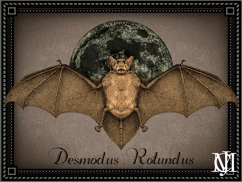 Vampire Bat by jmc1111 on DeviantArt