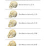 Deep One Hybrid Skull Evolution
