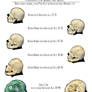 Deep One Hybrid Skull Evolution II (with outlines)