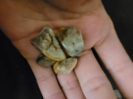 Handful of poo dinosaur poo