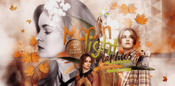 Autumn header