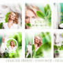 Charlize icons