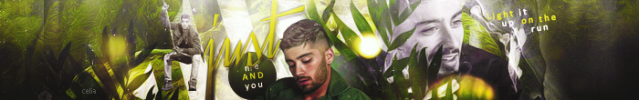 Zayn banner