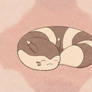 Furret Naptime