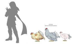 Cucco Breeds