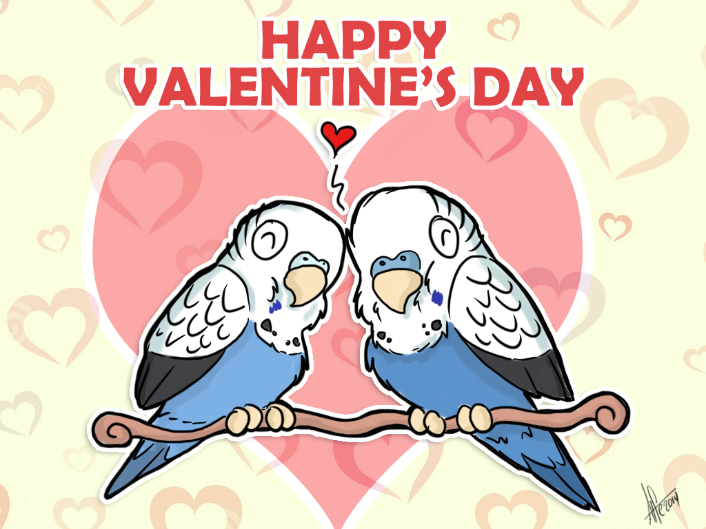 Budgie Valentine