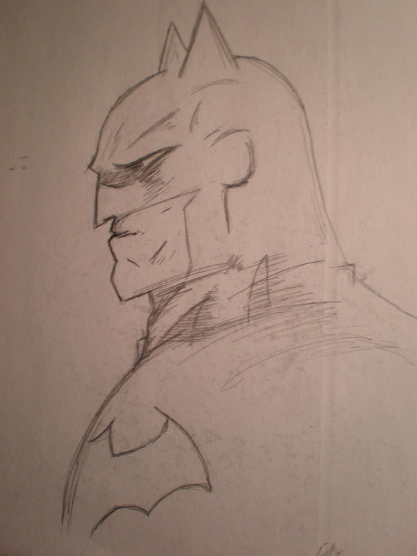 Batman Back Profile Batman Profile by LunarPriestess on DeviantArt