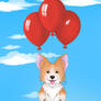 Balloon ride - Deefer the Corgi