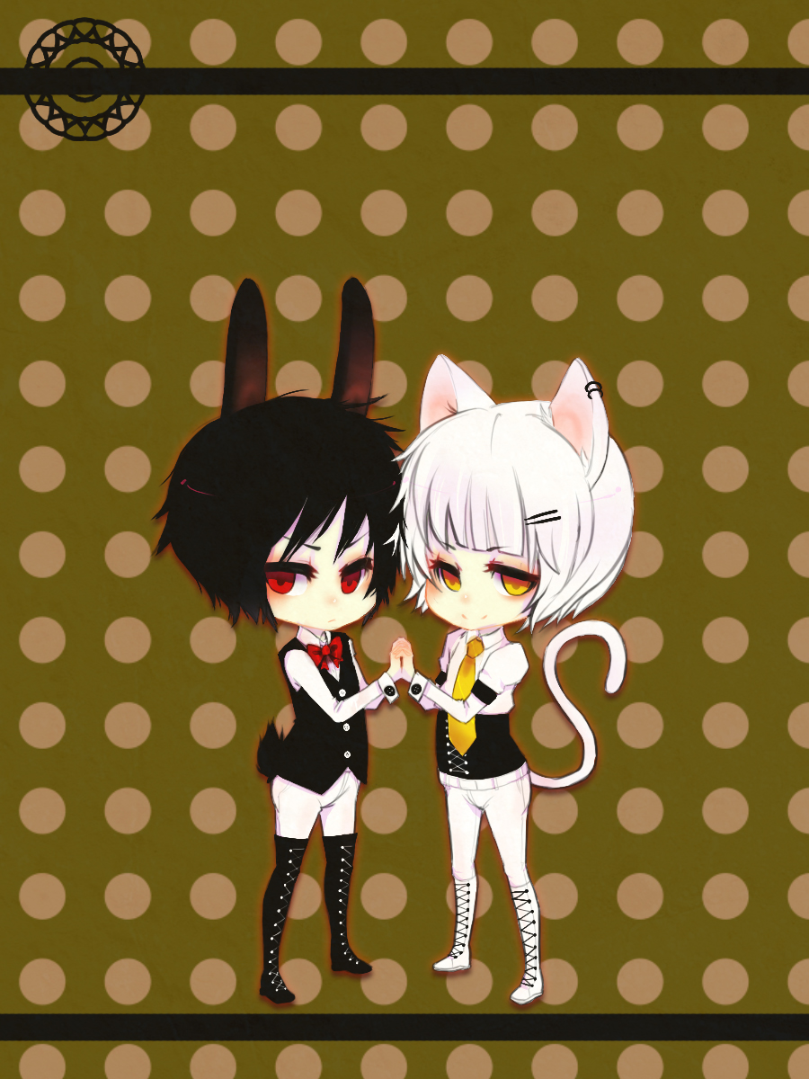 AWhitecatandtheBlackrabbit