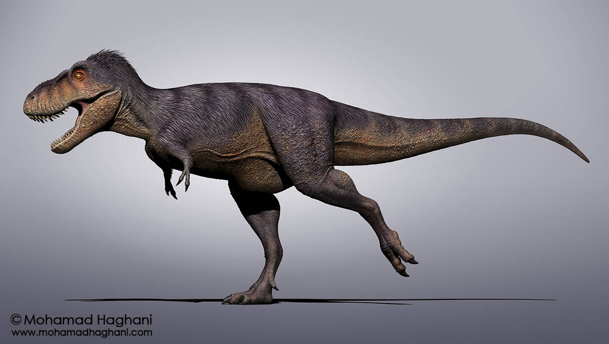 Tarbosaurus Bataar By Haghani On DeviantArt tarbosaurus-bataar-by-haghani-on-deviantart
