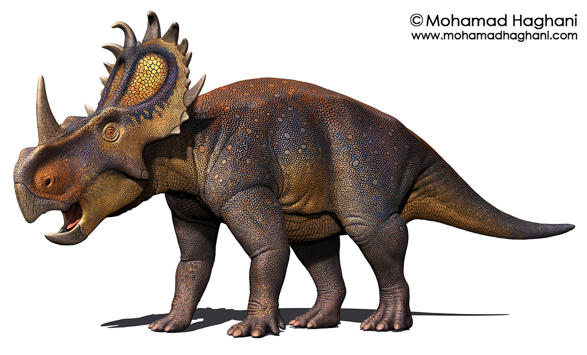 Sinoceratops By Haghani On DeviantArt sinoceratops-by-haghani-on-deviantart