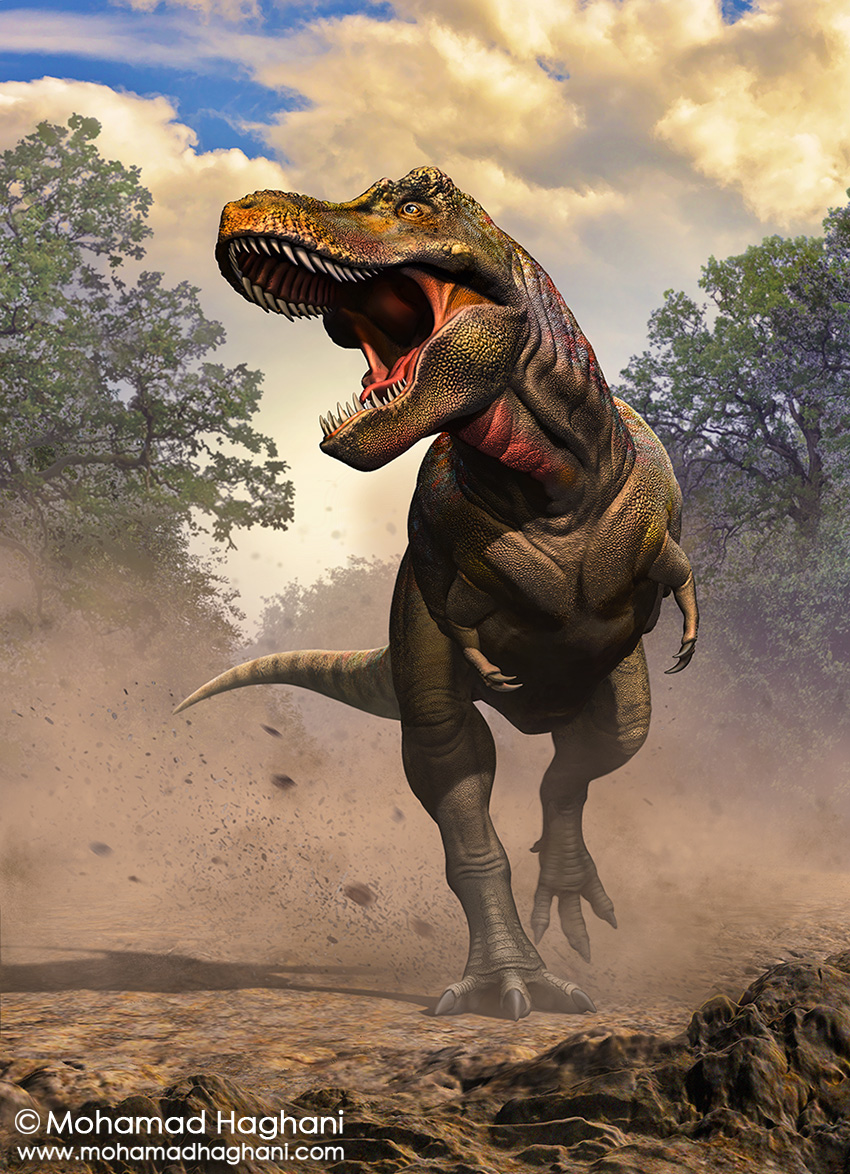 Zhuchengtyrannus By Haghani On DeviantArt zhuchengtyrannus-by-haghani-on-deviantart