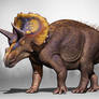 Triceratops horridus