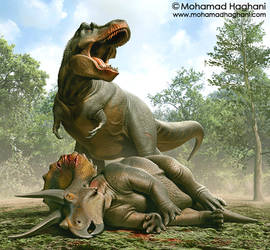 Tyrannosaurus  and  Triceratops