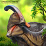 Parasaurolophus Flirting