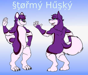 Stormy husky reference sheet, finished