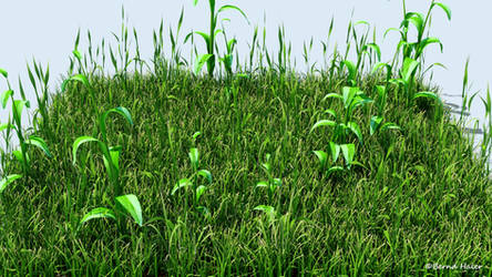 3D Wild grass 03 detail