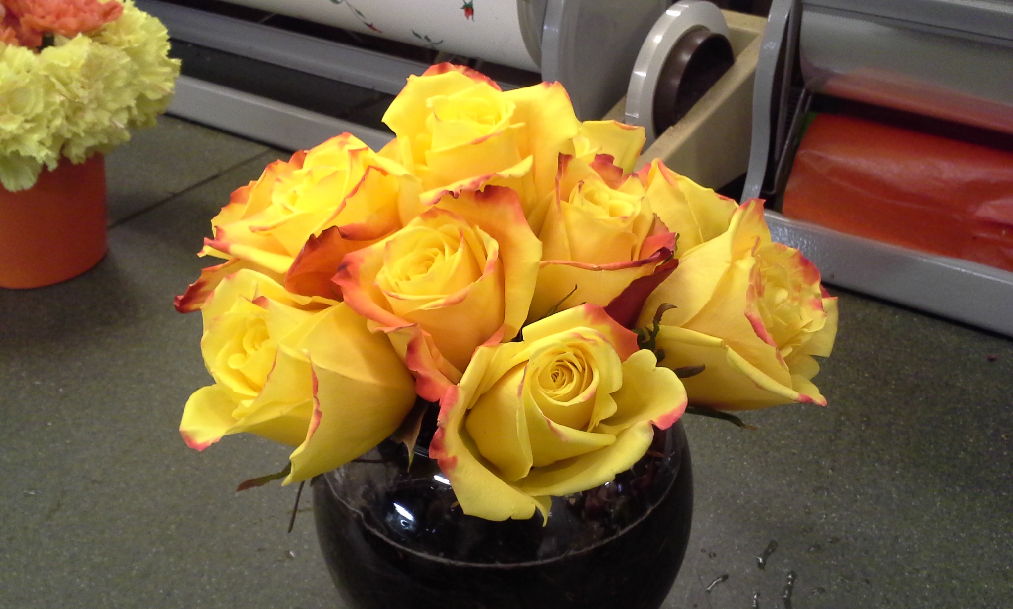 Flame Tipped (Yellow) Rose Bowl